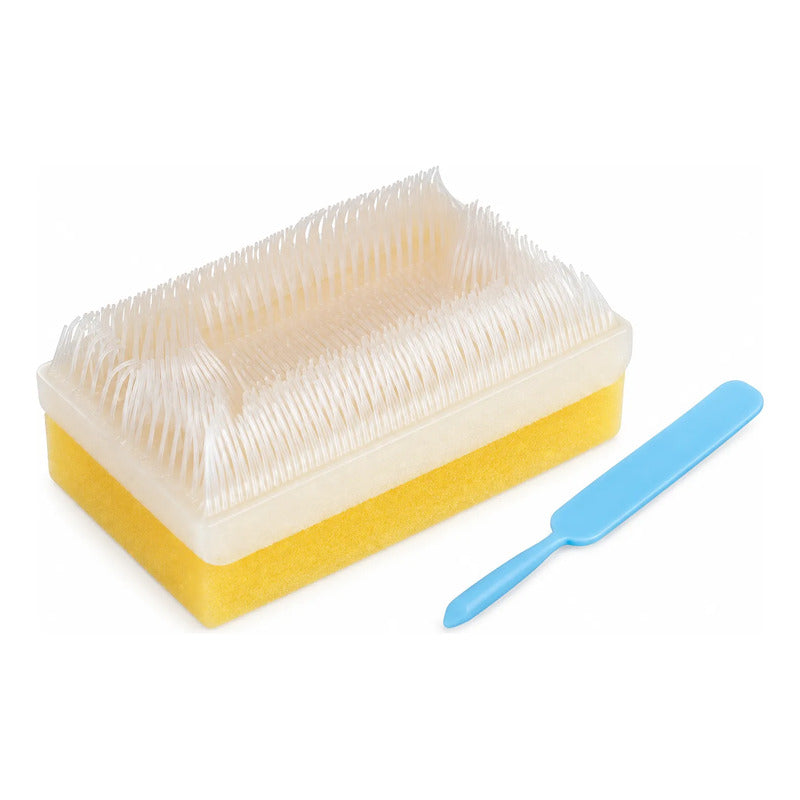 10 Cepillos Quirúrgicos Bd Ez Scrub 116 Con Solución 3% Pcmx Naranja