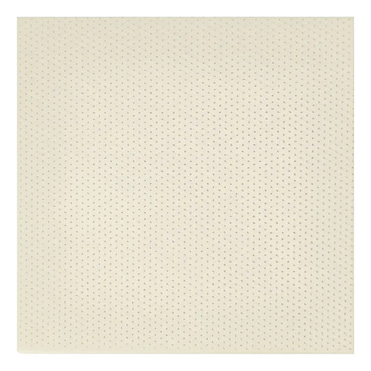 Aquaplast Color Carne 1 Unidad 2mm